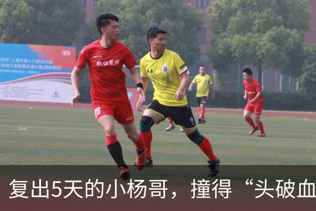 复出5天的小杨哥，撞得“头破血流”