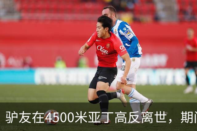驴友在4500米亚丁高反离世，期间姐姐全网求免费直升机，牧民报价1万被她拉黑